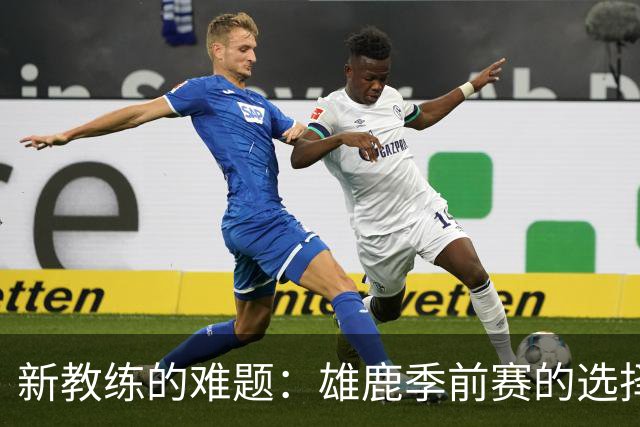 新教练的难题：雄鹿季前赛的选择之道